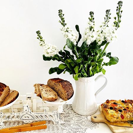 Coimbraameias Екстериор снимка